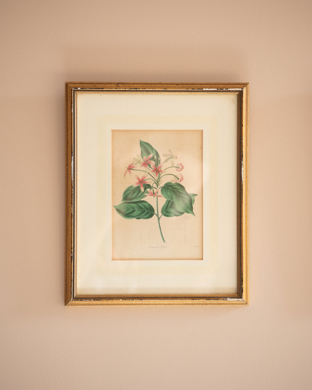 Vintage floral prints (set of 3)