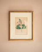 Vintage floral prints (set of 3)
