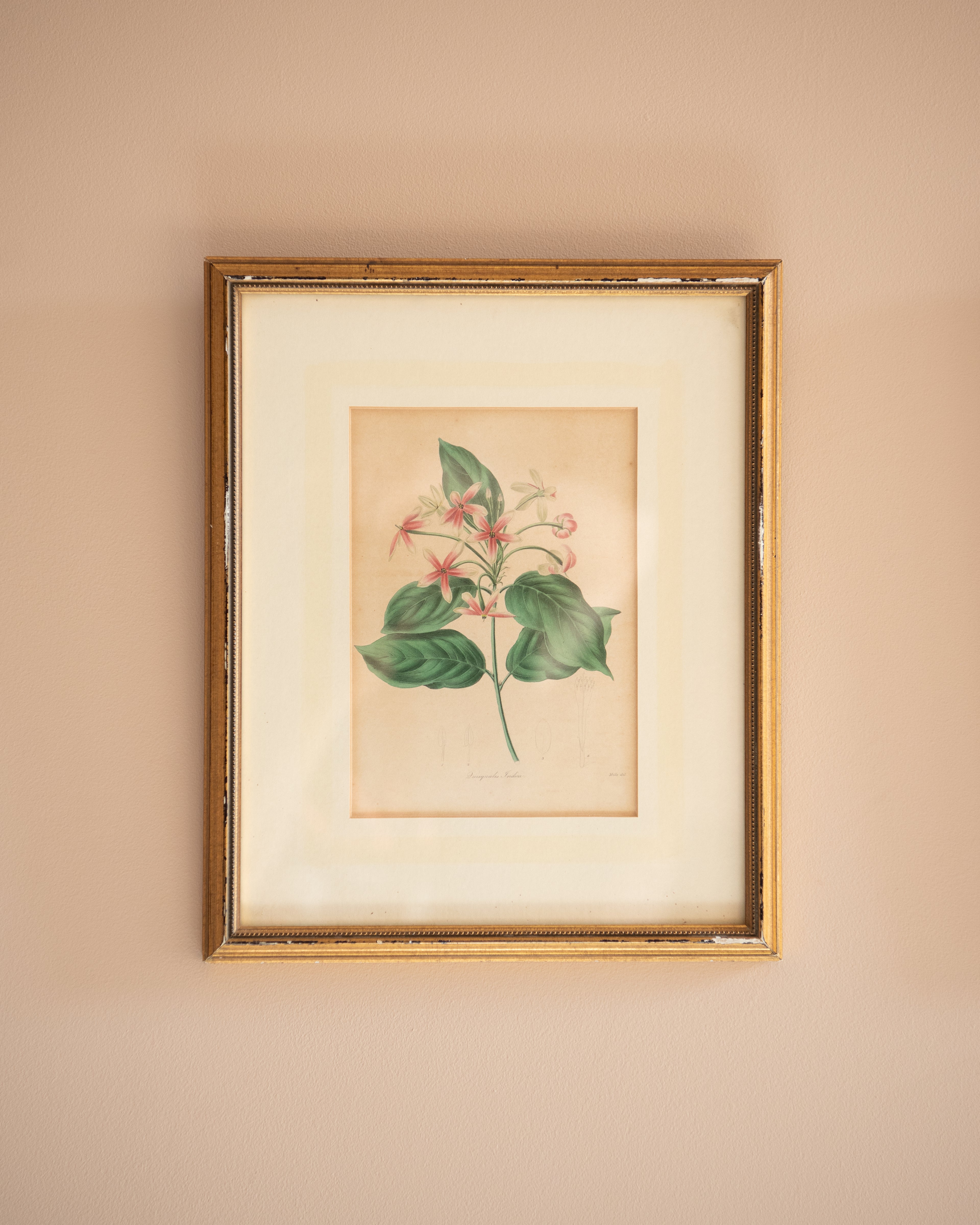 Vintage floral prints (set of 3)