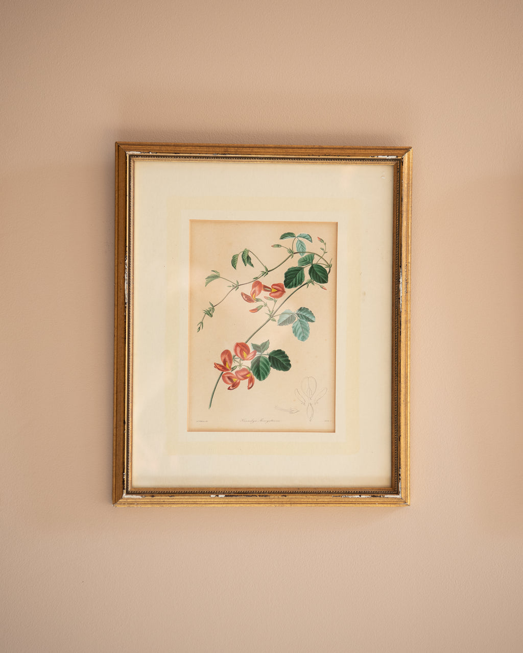 Vintage floral prints (set of 3)