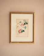 Vintage floral prints (set of 3)