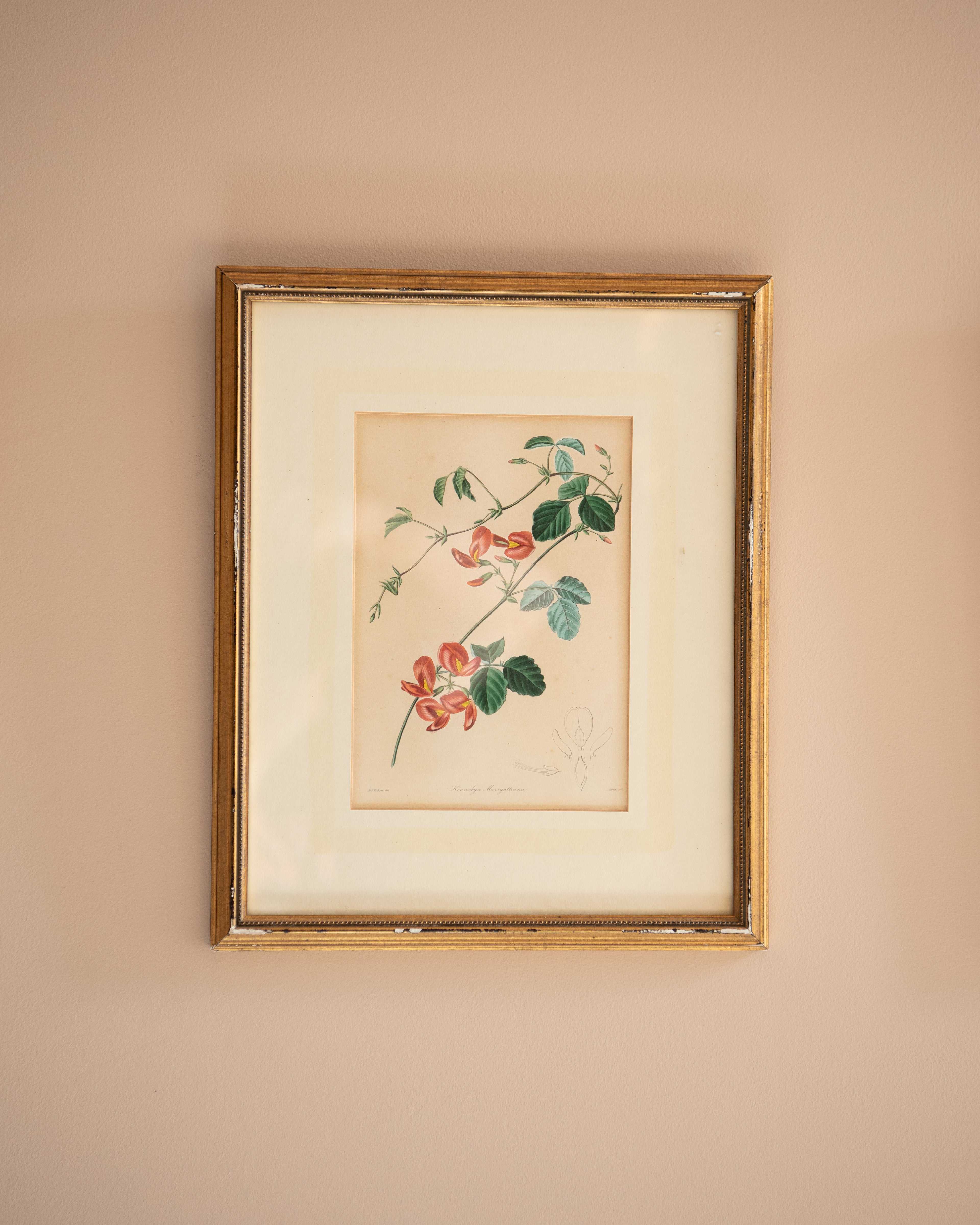 Vintage floral prints (set of 3)