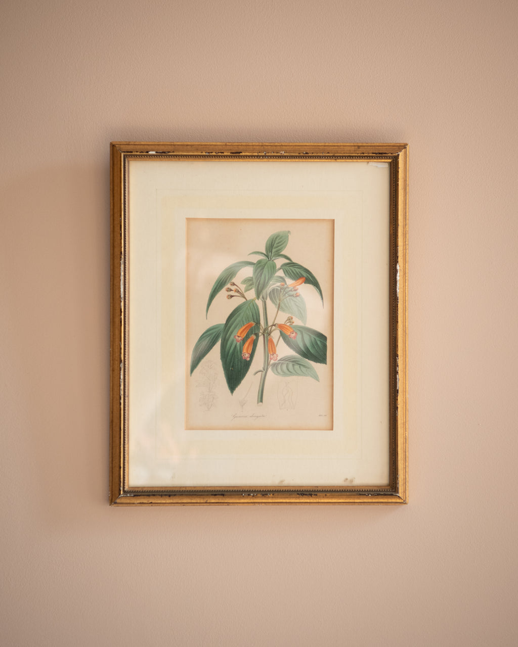Vintage floral prints (set of 3)