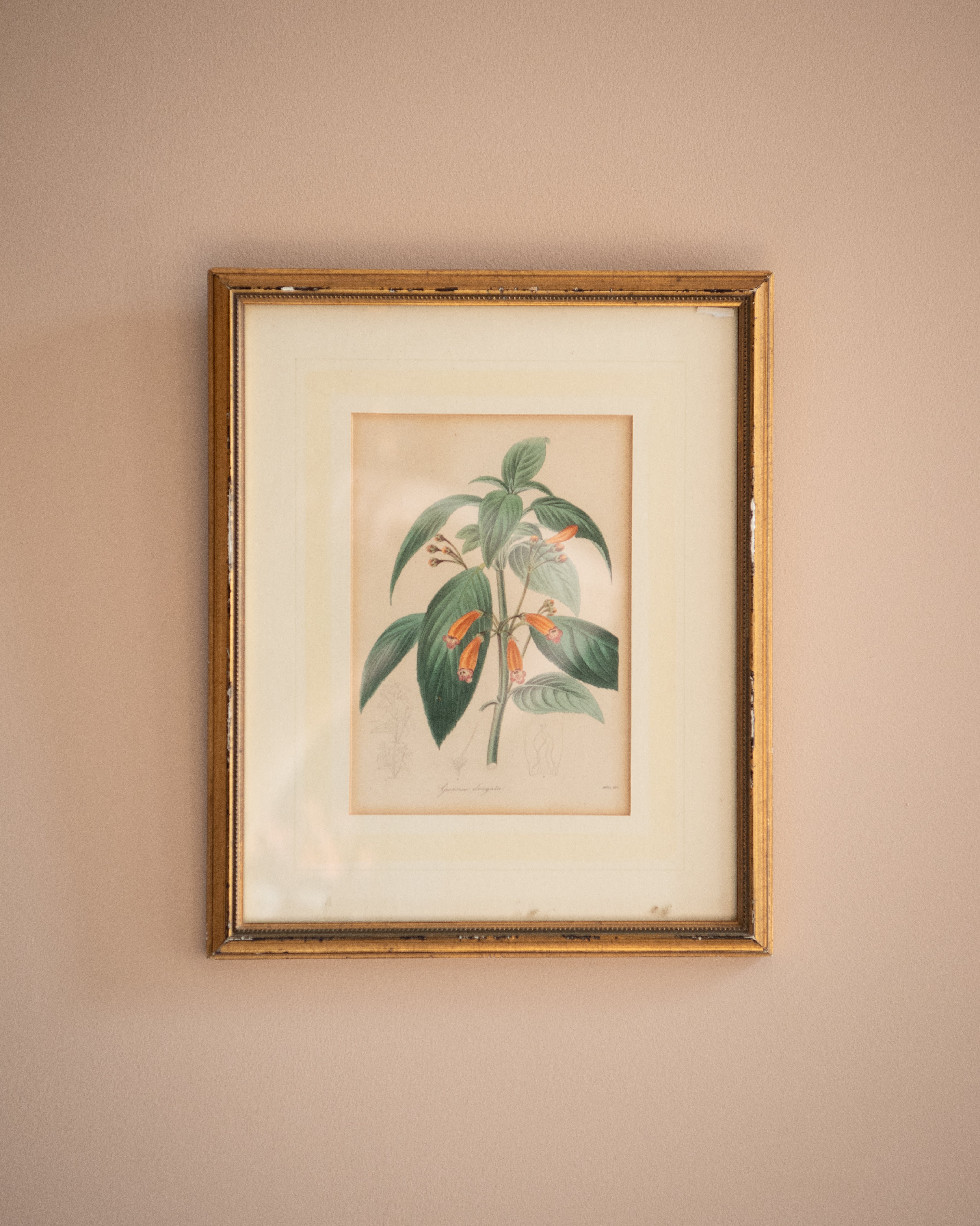 Vintage floral prints (set of 3)